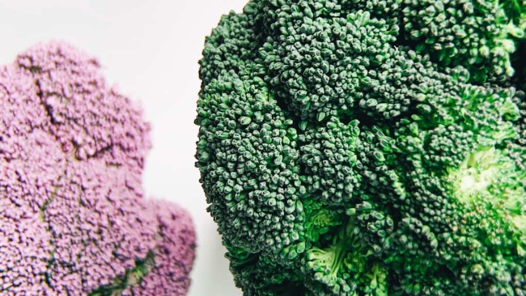 Kan leguaner spise broccoli