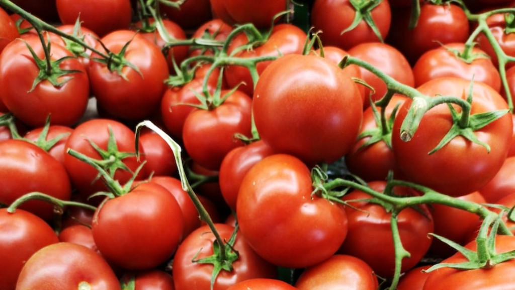 Hvor længe koger du tomater til konserves