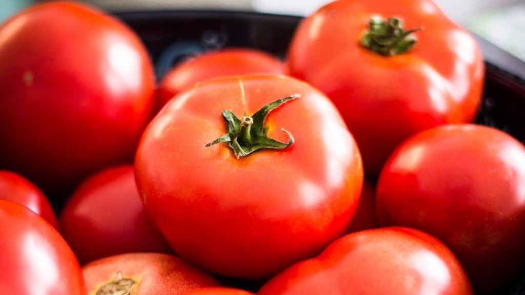 Er tørvemos god til tomater